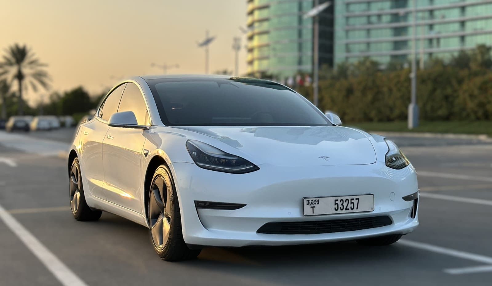 Tesla Model 3 Dual Motor